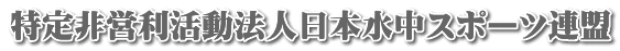 �����c�������@�l���{�����X�|�[�c�A�� 